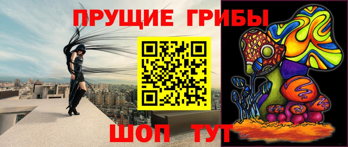 купить  сайты  Вход с VPN  Артём  Псилоцибиновые грибы Psilocybine cubensis 