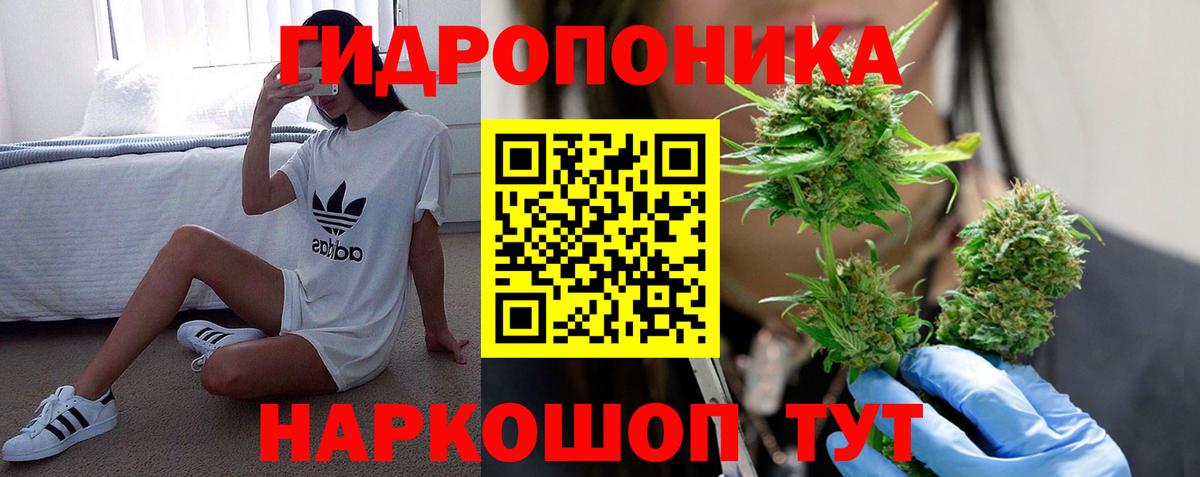 Канабис сатива  Вход с VPN  Бошки Шишки семена  Конопля OG Kush  Каннабис марихуана  Артём 